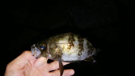 立ち位置で天国と地獄